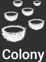 Colony.jpg
