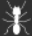 Thumbnail for version as of 18:51, 28 November 2025