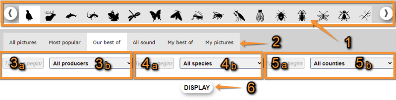 File:Gallery. Selecting images..png