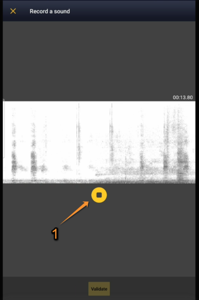 File:Stop recording (9).png