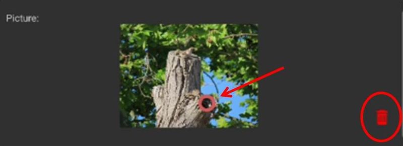 File:Mark object on image.jpg