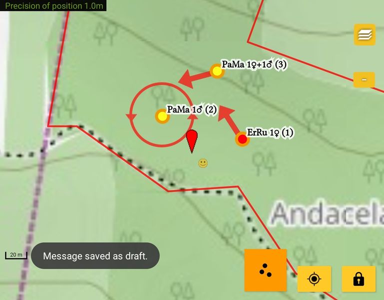 File:NL flight direction .jpg