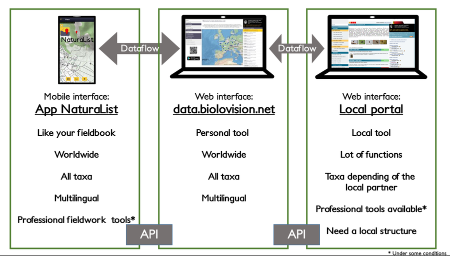 Dataflow between App, Web and API.png