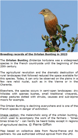 Species information.png