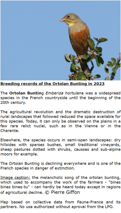 Species information.png