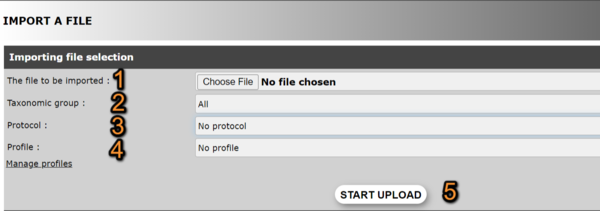 Importing file selection.png
