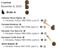 Thumbnail for version as of 13:47, 8 June 2026