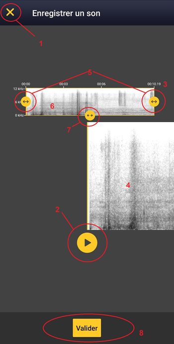 NL soundrecorder 3.jpg