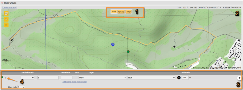 File:Black Grouse entering obs.png