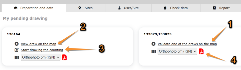 File:Ending drawing the site.png