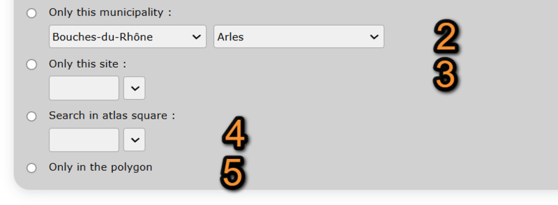 File:Atlas search.png