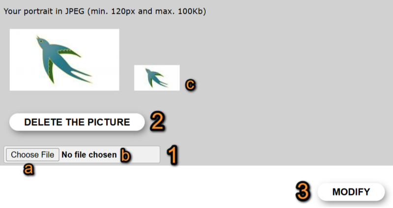 File:Uploading portrait image.png