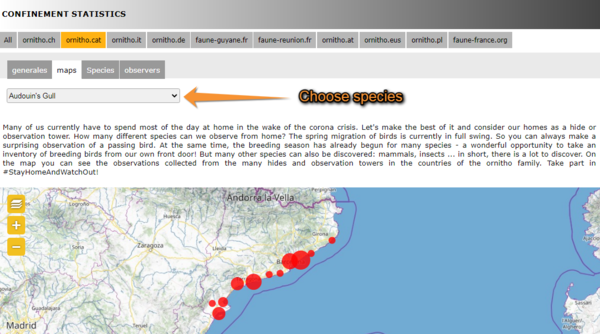 Confinement stats. map (1).png