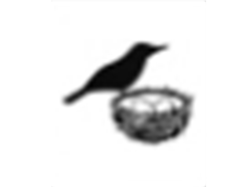File:TM nest.png