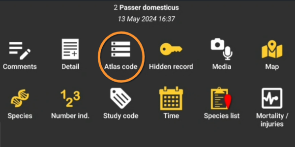 Add info atlas code.png