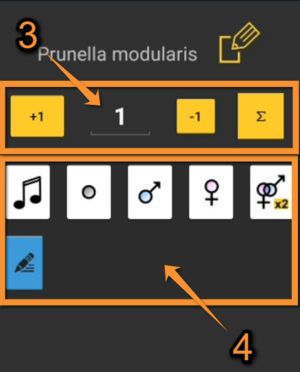 Grey Partridge NL.Behaviour.png