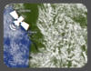Satellite.png