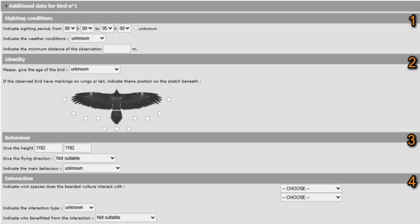 BV indv details.png