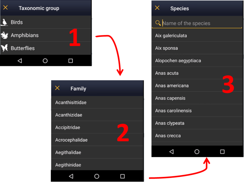 File:20221105Display of species by group.png