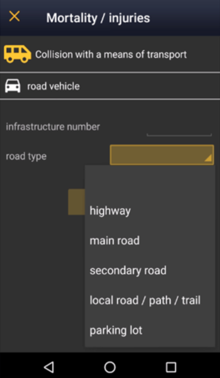 Transport injuries.png