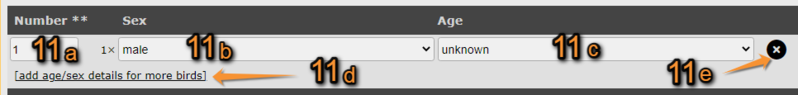 File:Woodies. Classes.png