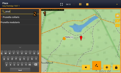 Grey Partridge NL. Place Sp.png