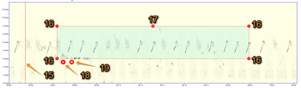 2023-09-17 Detailed sonogram area.png