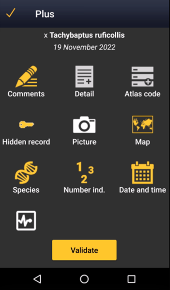 File:Update a record.png