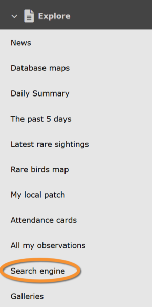 File:17092022WIKI seach engine.png