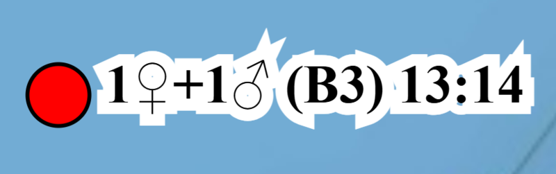 File:Summary and time.png