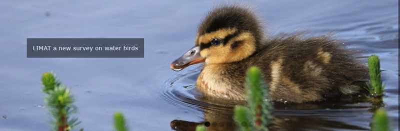 File:2023-08-29 slideshow with title.png