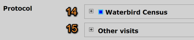 File:2023-03-23 Browsing WBC summary .png