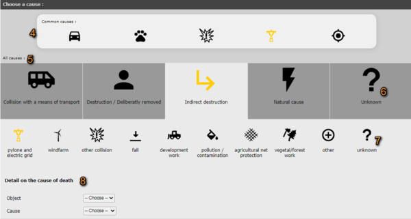 Exampple cause of death.png