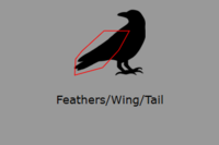 Feathers/Wings/Tail