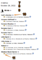 Thumbnail for version as of 13:38, 21 November 2024