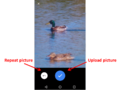 Thumbnail for version as of 17:03, 18 November 2022