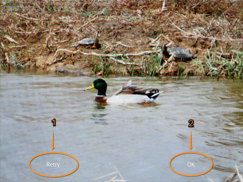 File:Take a picture.png