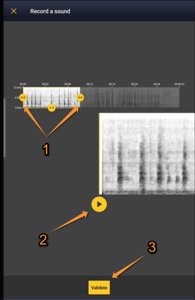 File:Validate recording.png