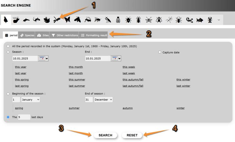 File:Search engine search.png