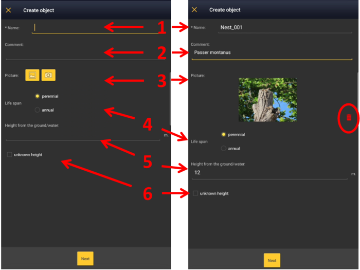 Create object . Information 1.