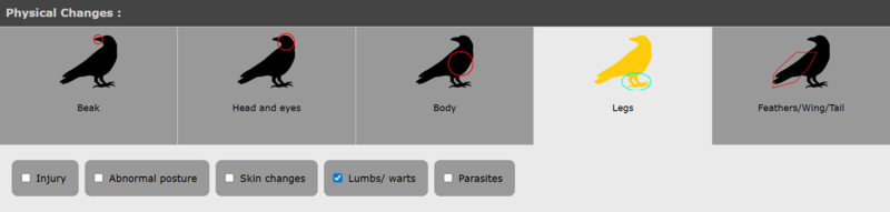 File:Physical changes.png