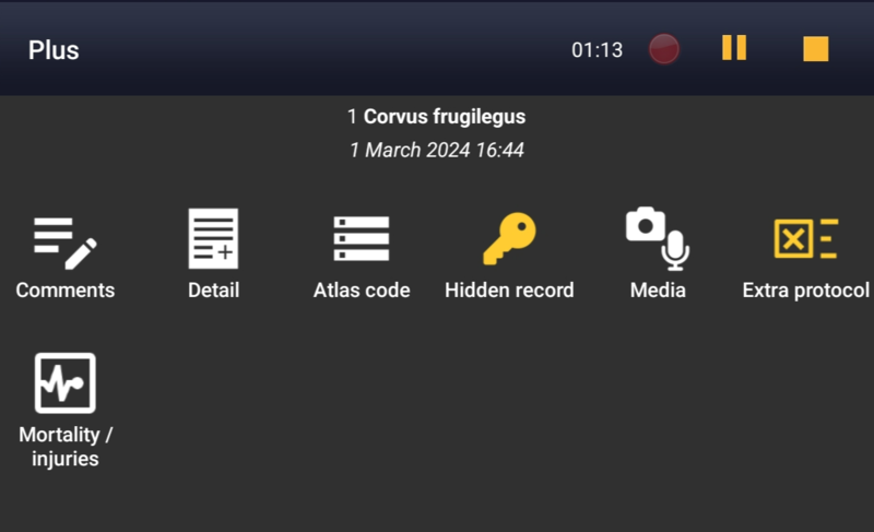 File:Rook. Plus (1).png