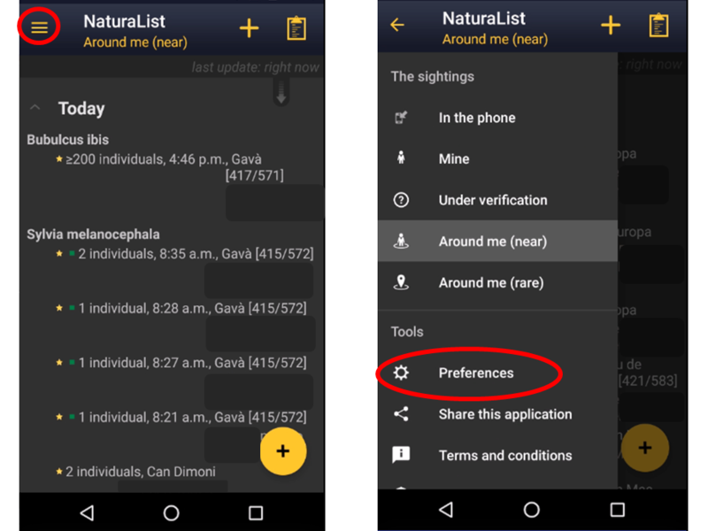 File:20221104Preferences.png