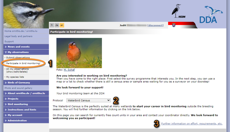 File:2023-05-01 Free area tool.png