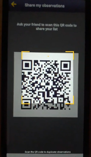 File:Screenshot 2025-05-15 173143.png