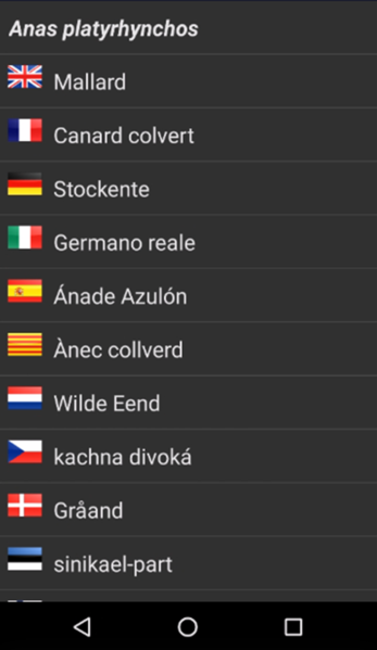 File:Show translations.png