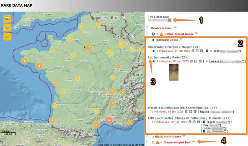 File:Rare sp from list.png