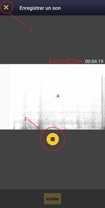 NL soundrecorder 2.jpg