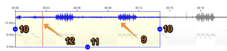 2023-09-17 detail full sonogram.png