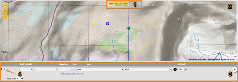 File:Rock Ptarmigan entering obs.png